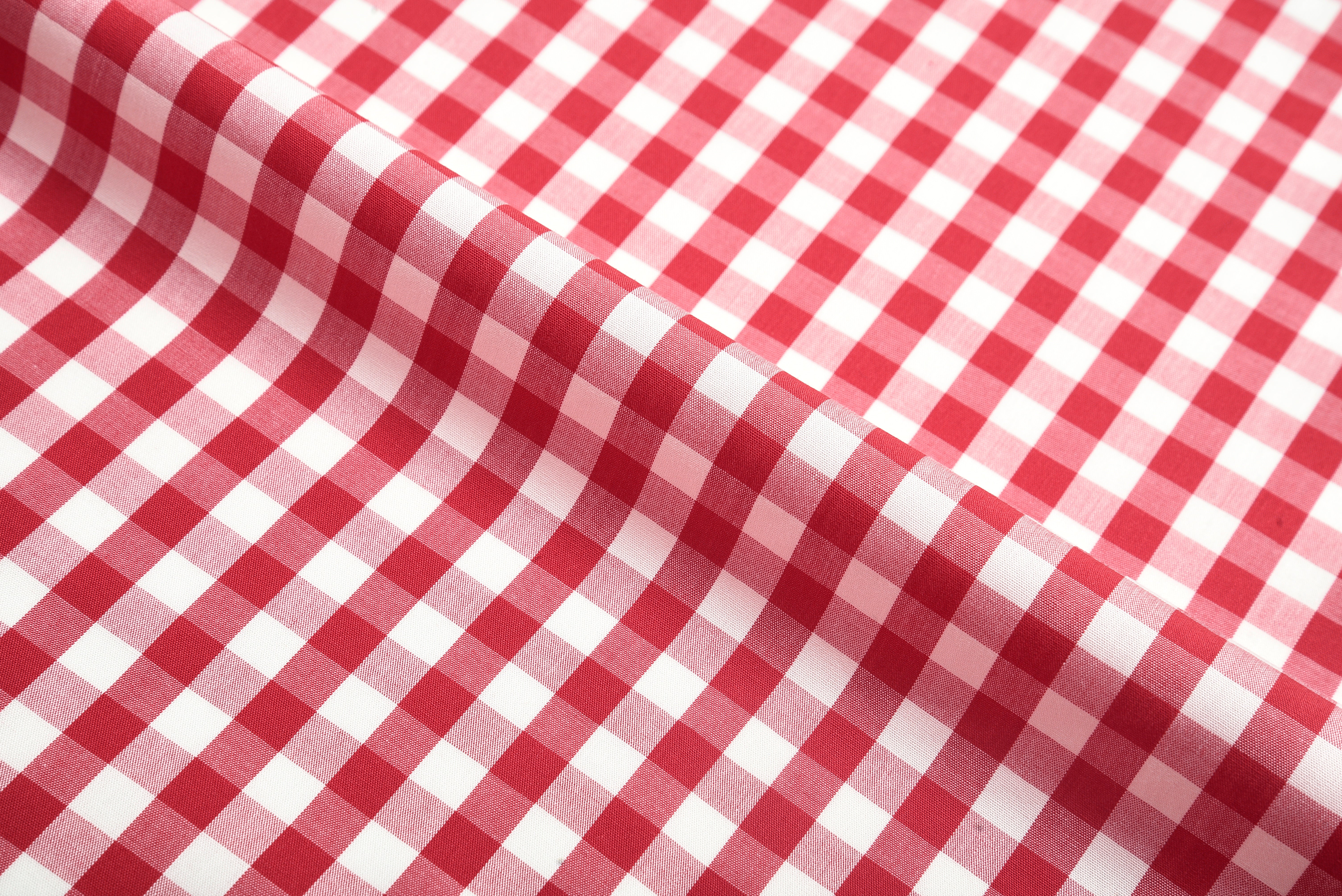 on Broad Gingham Checks Shirt