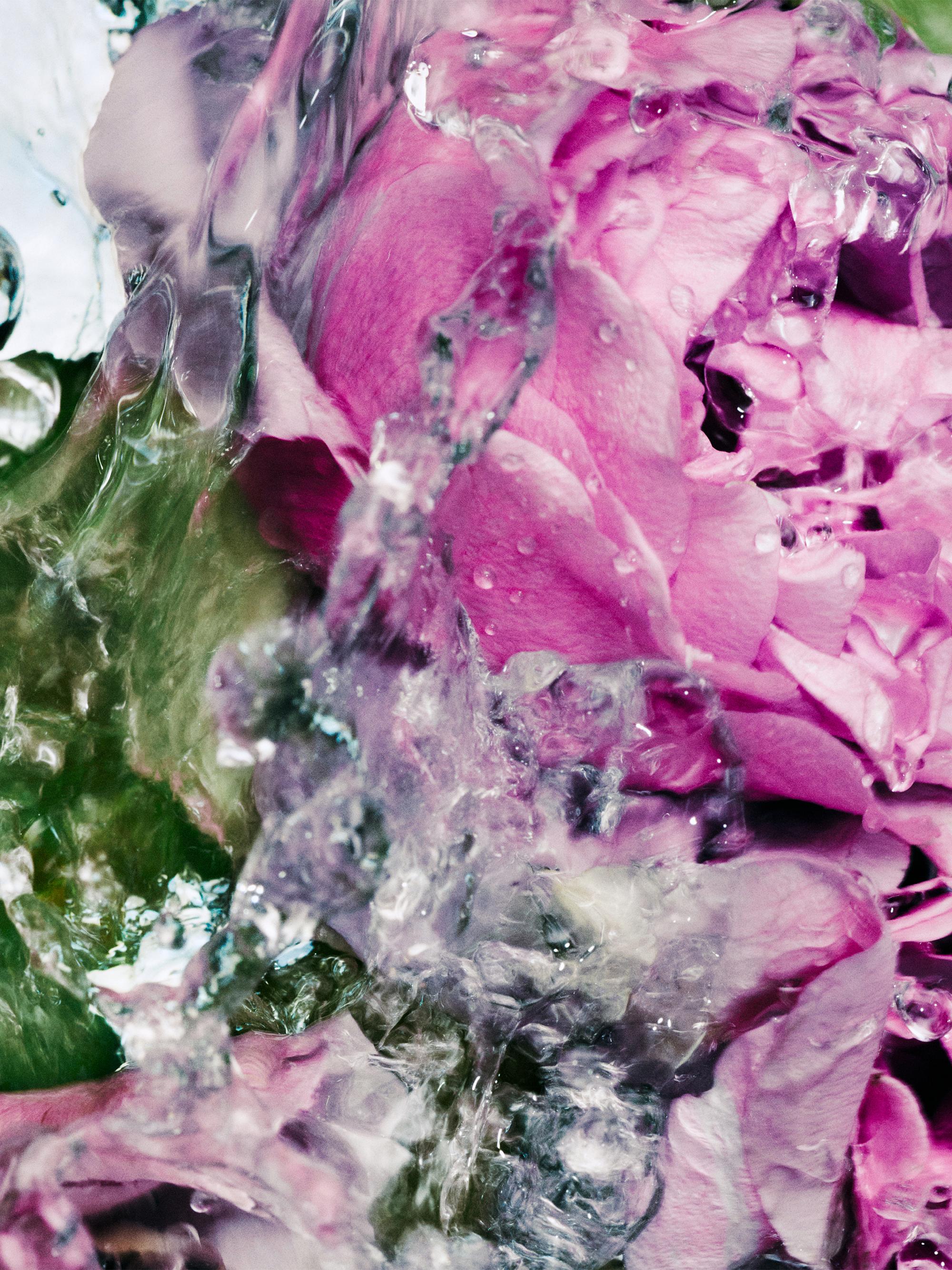 Rose Rinse-Free Hand Wash, image 3 of 3